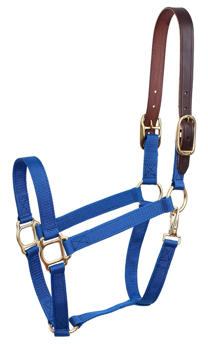 Economy Nylon Safety Horse Halter - Royal Blue Cob 