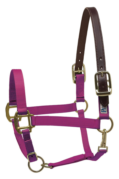 Breakaway Horse Halter, Horse Size - Jeffers - Horse Supplies > Horse Tack > Horse Halters