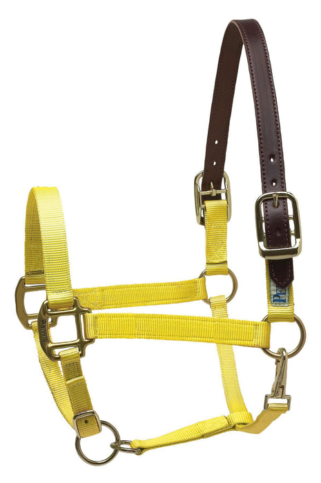 Breakaway Horse Halter, Horse Size - Jeffers - Horse Supplies > Horse Tack > Horse Halters