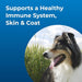 Dyne for Dogs - Jeffers - Animal Health & Wellness > Skin & Coat Care