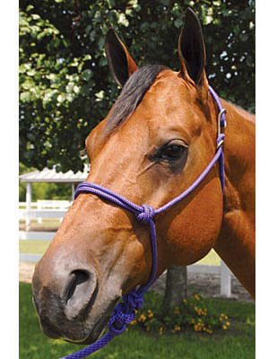 Easy - On Rope Halter - Jeffers - Horse Supplies > Horse Tack > Horse Halters