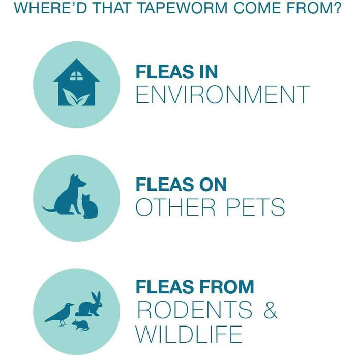 Elanco Tapeworm Dewormer for Dogs - Jeffers - Animal Health & Wellness > Medicine