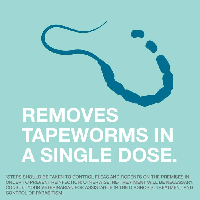 Elanco Tapeworm Dewormer for Dogs - Jeffers - Animal Health & Wellness > Medicine