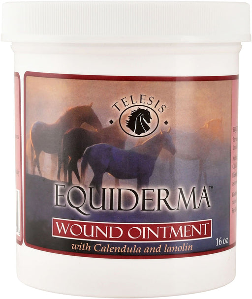 Equiderma Wound Ointment - Jeffers - Animal Health & Wellness > Skin & Coat Care