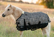 Equisential 600D Standard Neck Mini & Pony Medium Weight Blanket, Cheetah - Jeffers - Horse Supplies > Horse Blankets & Sheets