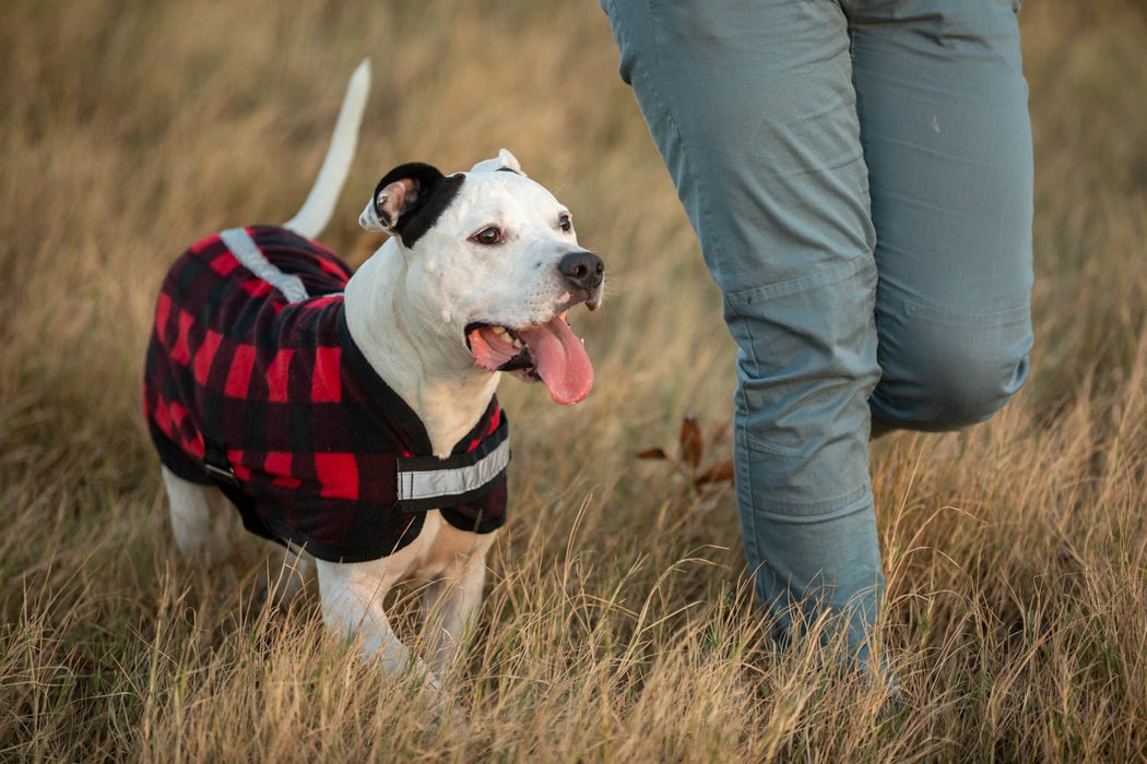 Expression 'Buffalo Check' Fleece Dog Rug - Jeffers - Dog Supplies > Dog Apparel