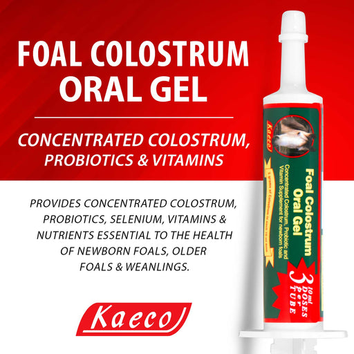 Foal Colostrum Oral Gel - Jeffers - Horse Supplies > Horse Supplies