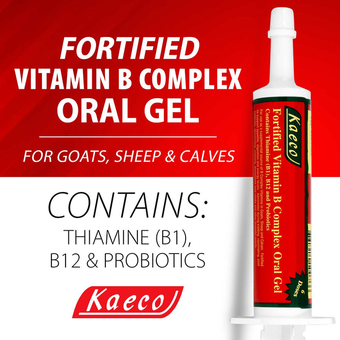 Fortified Vitamin B Complex Gel for Goats, Sheep, & Calves, 30 g - Jeffers - Animal Health & Wellness > Vitamins & Supplements