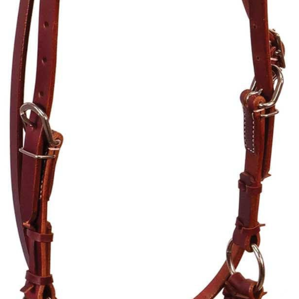 Buffalo Leather Fully Adjustable Rawhide Side Pull Headstall