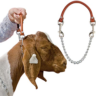 Goat Show Collar - Jeffers - Goat Supplies > Goat Supplies