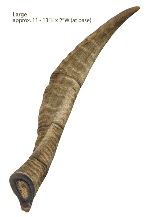 Gobi Goat Horn Natural Dog Chew - Jeffers - Dog Supplies > Dog Treats