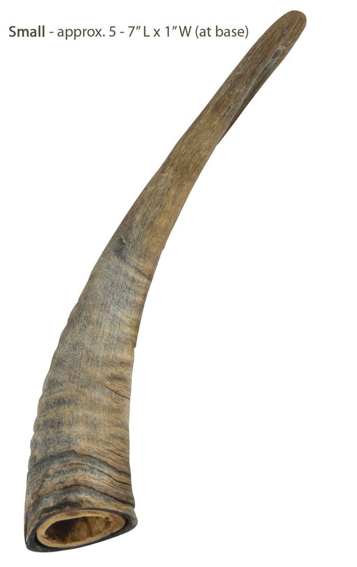 Gobi Goat Horn Natural Dog Chew - Jeffers - Dog Supplies > Dog Treats