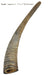 Gobi Goat Horn Natural Dog Chew - Jeffers - Dog Supplies > Dog Treats