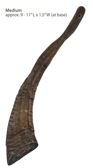 Gobi Goat Horn Natural Dog Chew - Jeffers - Dog Supplies > Dog Treats