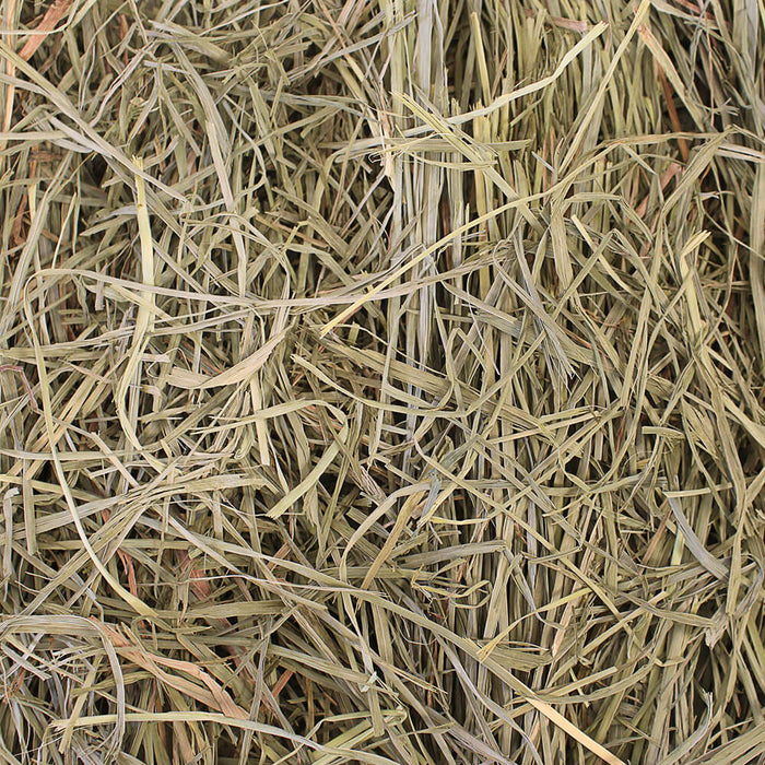 Grandpa's Best Orchard Grass Loose Boxed Hay - Jeffers - Animal & Pet Supplies > Animal & Pet Supplies