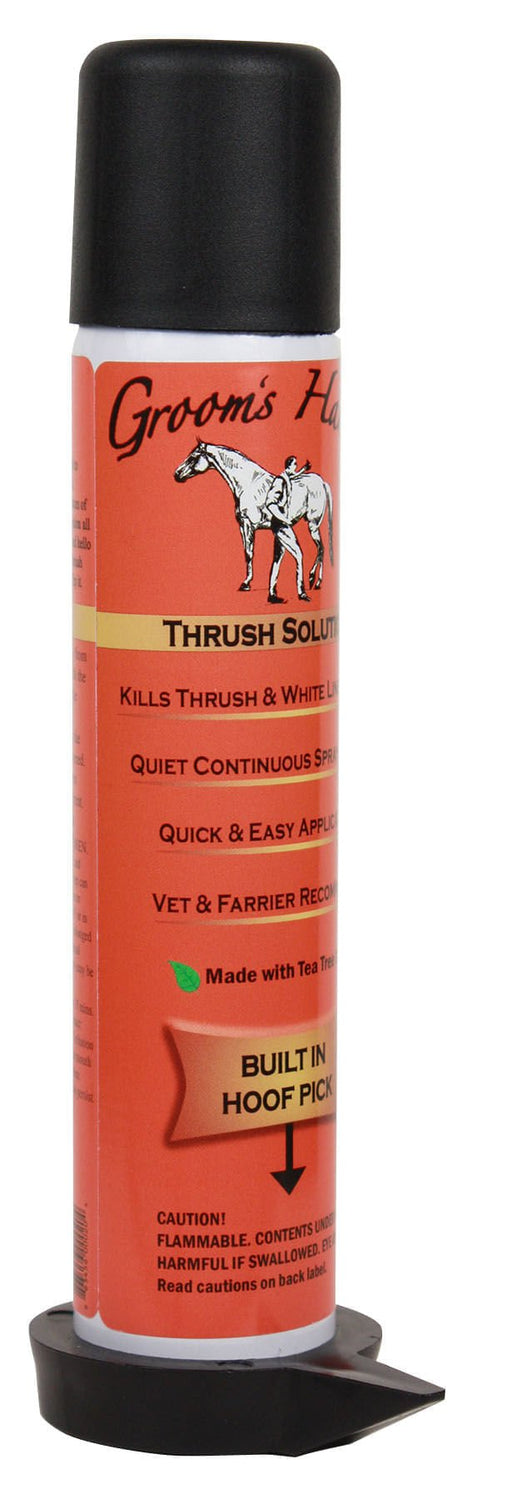 Groom's Hand Thrush Solution - Jeffers - Animal Health & Wellness > Foot & Hoof Care