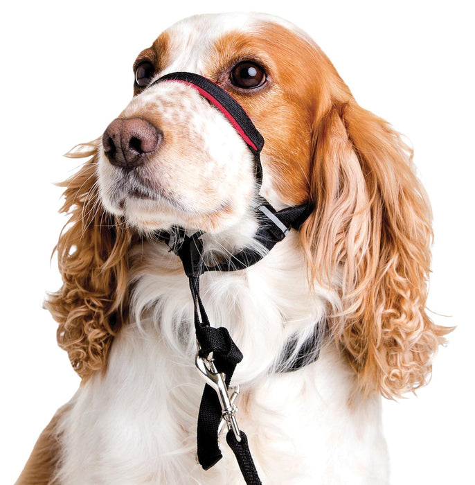 Halti OptiFit Headcollar - Jeffers - Dog Supplies > Dog Apparel > Dog Collars, Harnesses, & Leashes