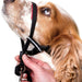 Halti OptiFit Headcollar - Jeffers - Dog Supplies > Dog Apparel > Dog Collars, Harnesses, & Leashes