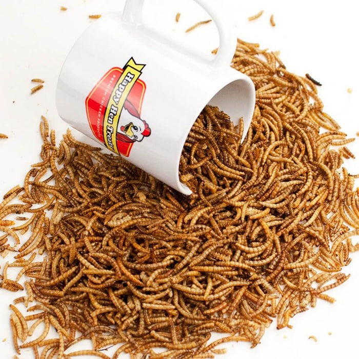 Happy Hen Treats MealWorm Frenzy for Chickens - Jeffers - Poultry Supplies > Poultry Supplies