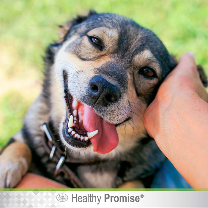 Healthy Promise Aloe Ear Mite Treatment For Dogs, 0.75 oz - Jeffers - Animal Health & Wellness > Ear Care