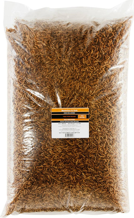 Hentastic Dried Mealworms - Jeffers - Poultry Supplies > Poultry Supplies