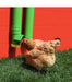 High End Hen Poultry Feeder - Jeffers - Poultry Supplies > Poultry Supplies