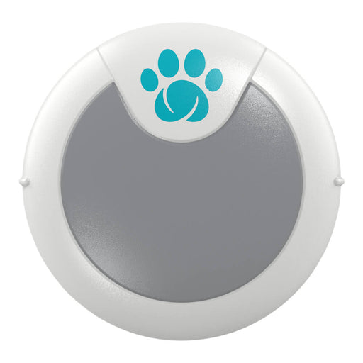 HomeAgain Animo Activity Monitor - Jeffers - Dog Supplies > Dog Apparel > Dog Collars, Harnesses, & Leashes