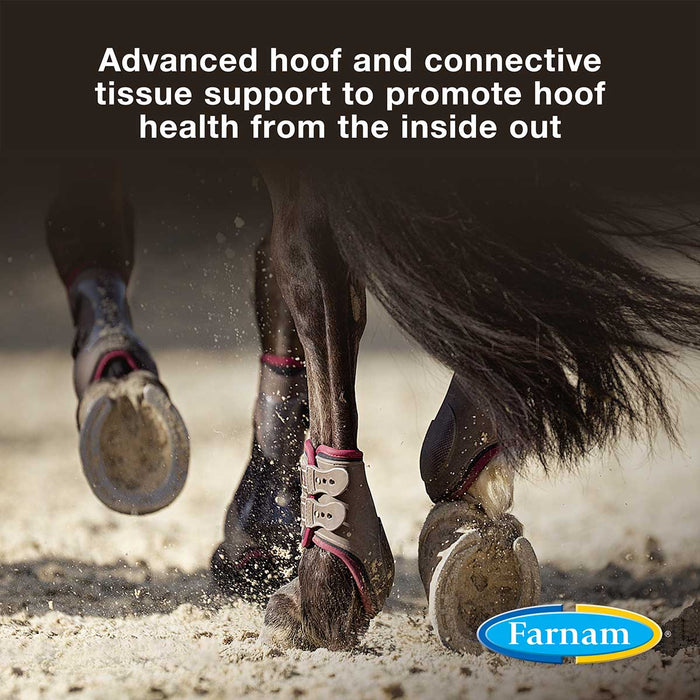 Horseshoer's Secret Hoof & Connective Tissue Supplement - Jeffers - Animal Health & Wellness > Vitamins & Supplements