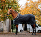 Horseware Autumn Cooler, Black/Aqua - Jeffers - Horse Supplies > Horse Blankets & Sheets