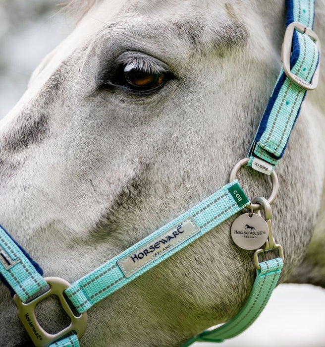 Horseware FieldSafe Halter - Jeffers - Horse Supplies > Horse Tack > Horse Halters