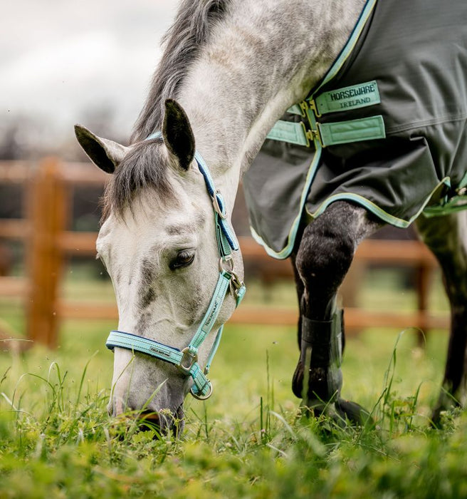 Horseware FieldSafe Halter - Jeffers - Horse Supplies > Horse Tack > Horse Halters