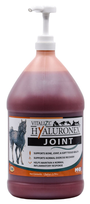 Hyaluronex Joint Support for Horses - Jeffers - Animal Health & Wellness > Joint Health