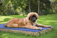 HyperKewl Evaporative Cooling Pad for Dogs - Jeffers - Dog Supplies > Dog Beds