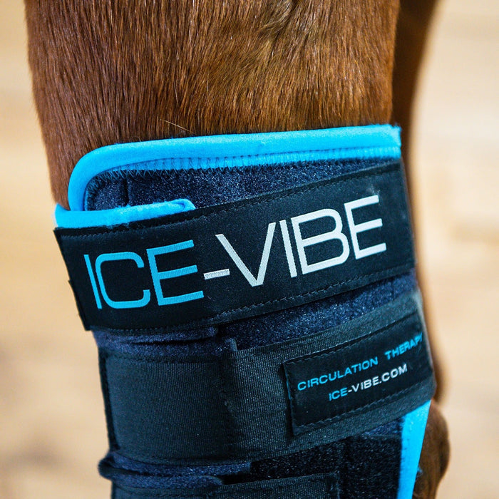 Ice - Vibe Hock Wrap, Black/Aqua - Jeffers - Horse Supplies > Horse Boots & Leg Wraps