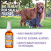 Immune Support - Jeffers - Animal Health & Wellness > Vitamins & Supplements