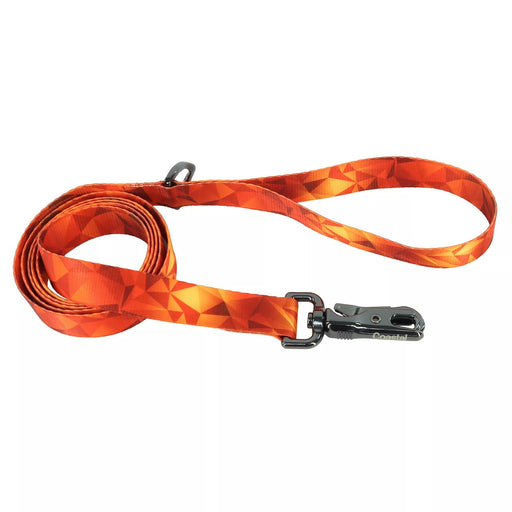 Inspire Fashion Dog Leash - Jeffers - Dog Supplies > Dog Apparel > Dog Collars, Harnesses, & Leashes