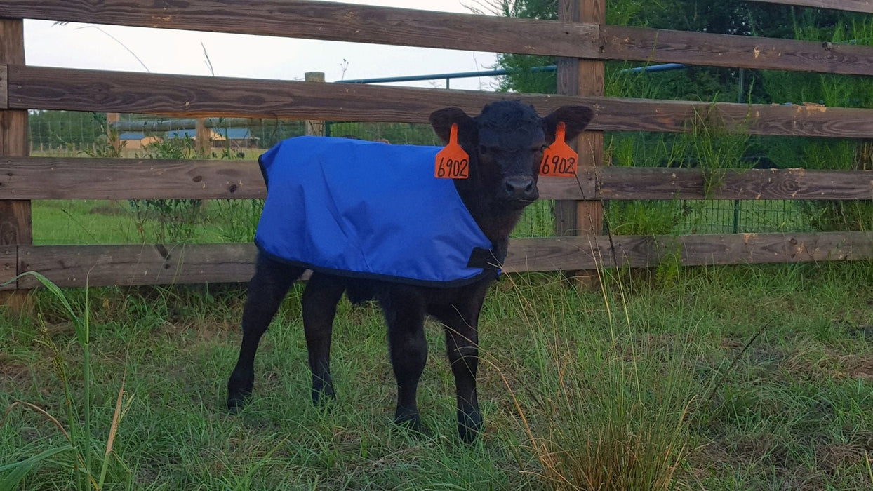 Insulated Calf Blanket - Jeffers - Cattle Supplies > Cattle Supplies