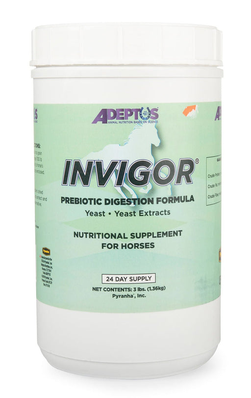 Invigor Prebiotic Digestion Formula - Jeffers - Animal Health & Wellness > Vitamins & Supplements