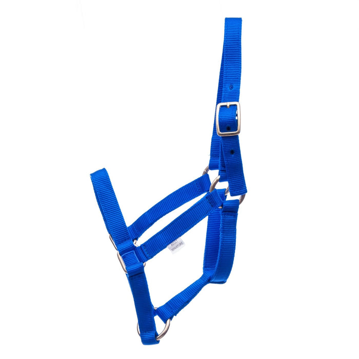 Jeffers Adult Miniature Nylon Horse Halter (under 300 lb) - Jeffers - Horse Supplies > Horse Tack > Horse Halters