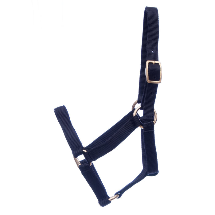 Jeffers Adult Miniature Nylon Horse Halter (under 300 lb) - Jeffers - Horse Supplies > Horse Tack > Horse Halters