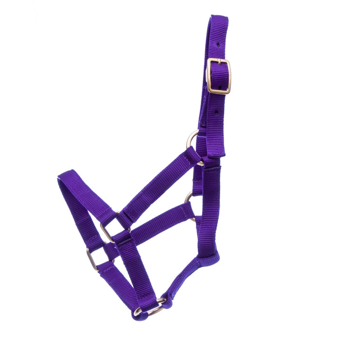 Jeffers Adult Miniature Nylon Horse Halter (under 300 lb) - Jeffers - Horse Supplies > Horse Tack > Horse Halters