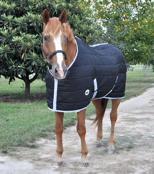 Jeffers Closed Front 240g Fill Stable Blanket for Horses - Jeffers - Horse Supplies > Horse Blankets & Sheets