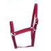 Jeffers Economy Horse Halter 900 - 1200 lb - Jeffers - Horse Supplies > Horse Tack > Horse Halters