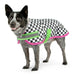 Jeffers Expression Dog Coat, Skater Pup - Jeffers - Dog Supplies > Dog Apparel