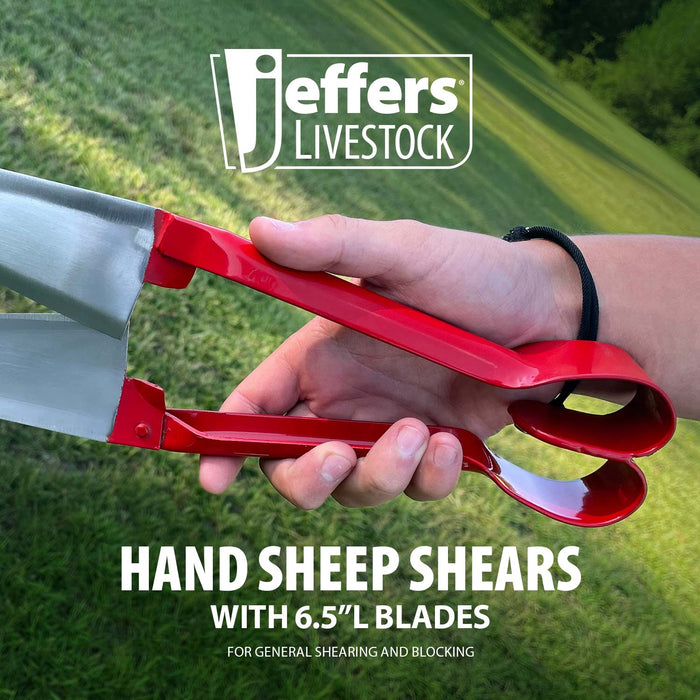 Jeffers Hand Sheep Shears - Jeffers - Farm & Ranch Supplies > Grooming Supplies