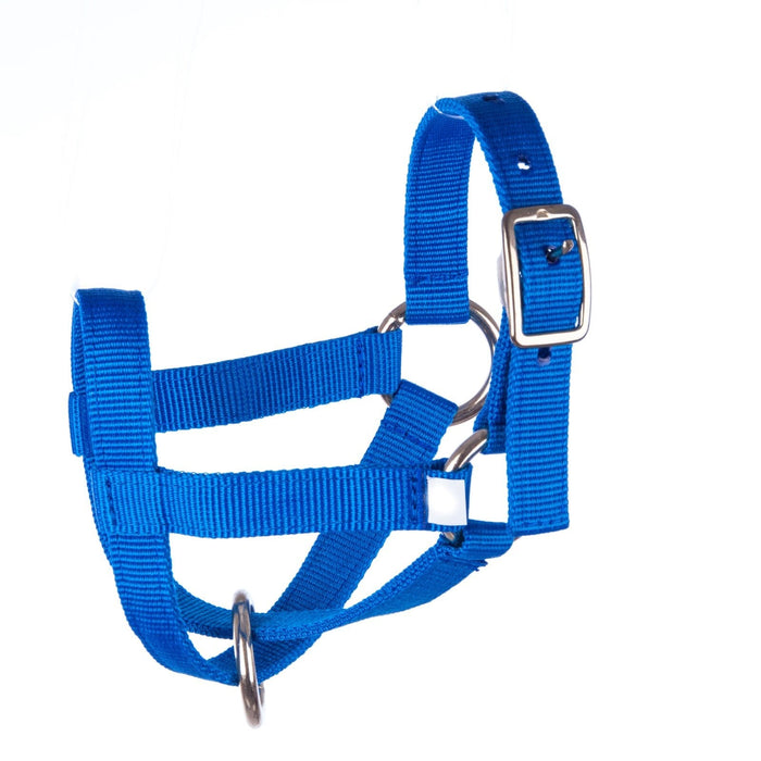 Jeffers Medium Goat Halter - Jeffers - Goat Supplies > Goat Supplies