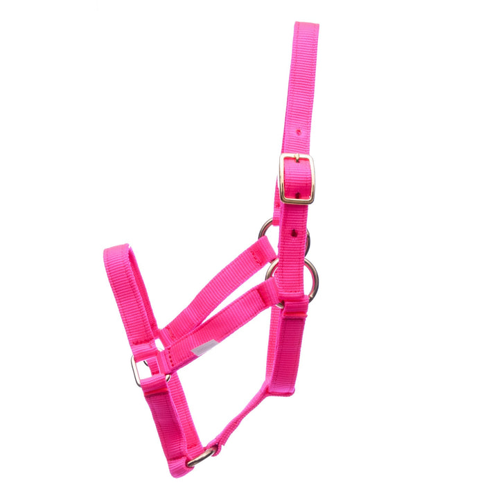 Jeffers Mini Horse Nylon Halter - Jeffers - Horse Supplies > Horse Tack > Horse Halters