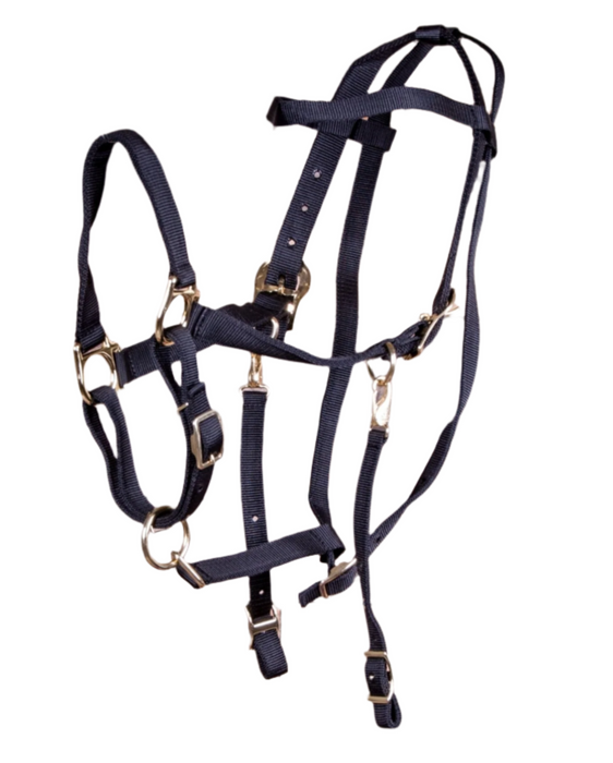 Jeffers Nylon Combination Horse Halter Bridle with Reins