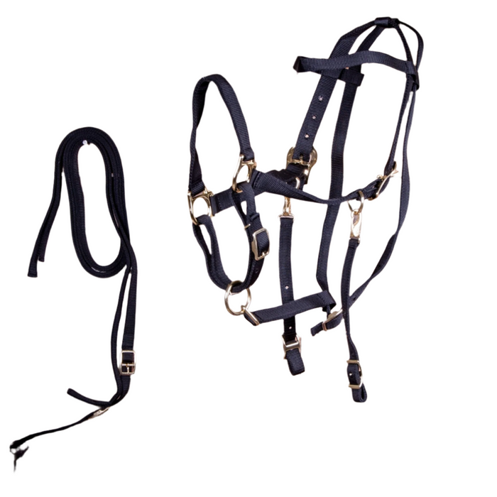 Jeffers Nylon Combination Horse Halter Bridle with Reins