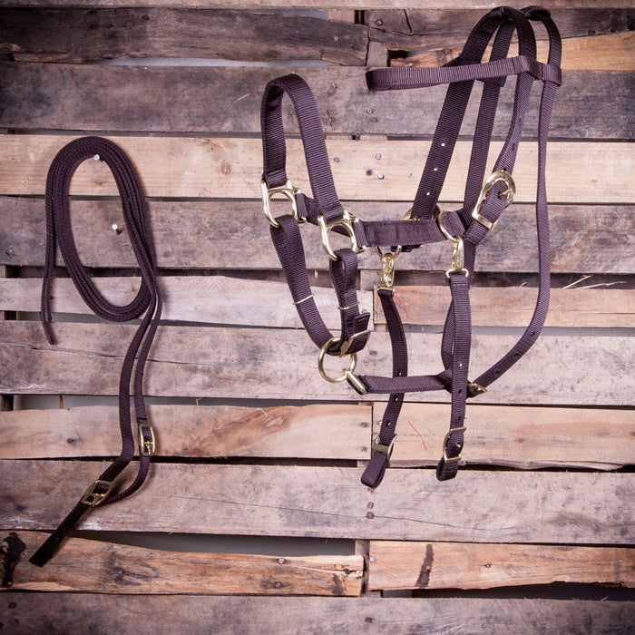 Jeffers Nylon Combination Halter Bridle With Reins - Jeffers - Horse Supplies > Horse Tack > Bridles & Headstalls